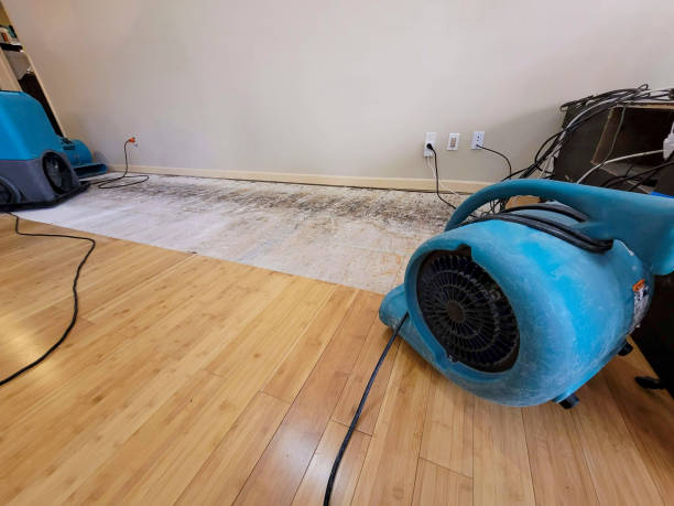 Professional Water Damage Repair technician working in Union Bridge, MD